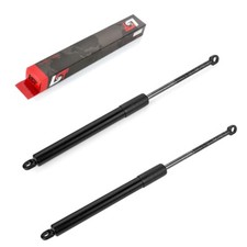 2x Gas Ammortizzatori Hood