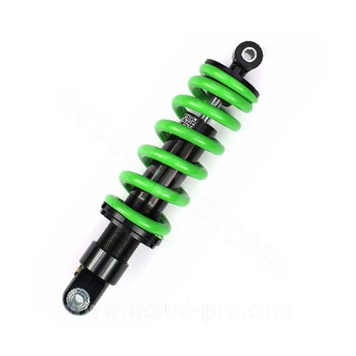 Ammortizzatore carenzi gas - ammortizzatore,
