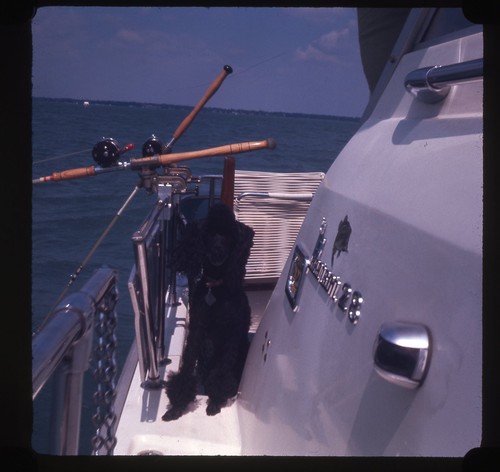 Sl29 slide 1969 barboncino - sl29,
