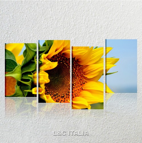 Girasoli quadri moderni - girasoli,