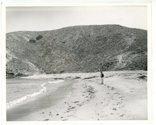 Foto vintage 8x10 paramount - vintage,