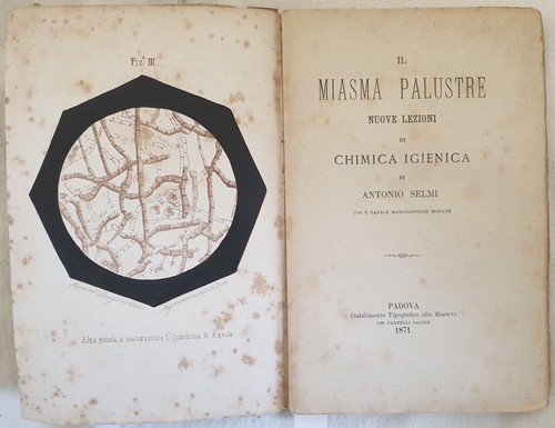 Scienza miasma palustre - scienza,