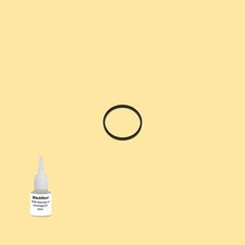 Cinghia Olio = Kit 5 per