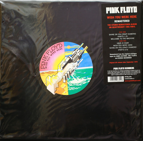 Pink floyd wish you were - -,