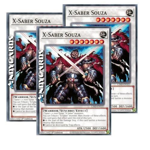 Saber souza - souza, •