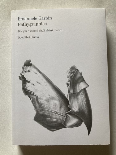 Bathygraphica emanuele - -,