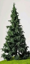 🍀2 x Albero Modellismo H0