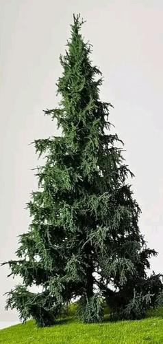 2 x albero - x,