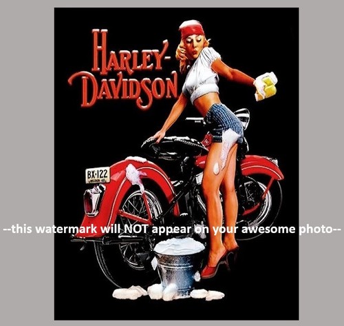 Poster foto moto harley - moto,