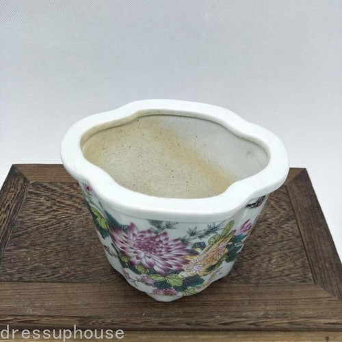 Antico vaso farfalla fioriera