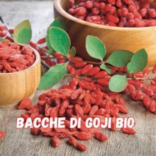BACCHE di GOJI BIO HIMALAYA  1
