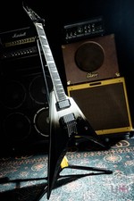 Chitarra elettrica usata E-ii