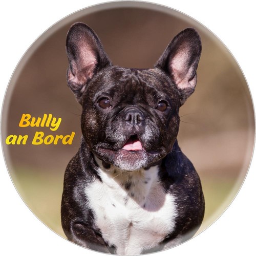 Bully bordo adesivo - bully, auto