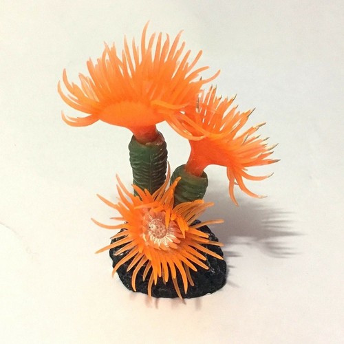 Pianta corallo artificiale - pianta,