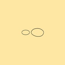 Kit Cinghie per Minerva MKS 20