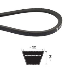 CINGHIA 22X1778 C70