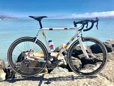Pegoretti Frame