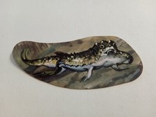 FIGURINA IL MONDO DEGLI