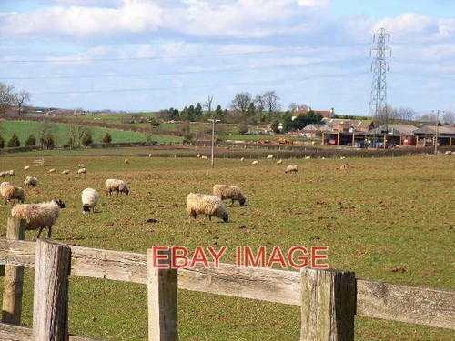 Photo hunter hill farm - photo, hunter's