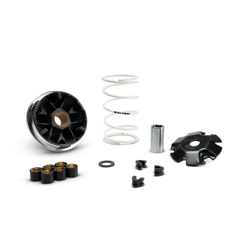 Variatore malossi multivar - variatore,