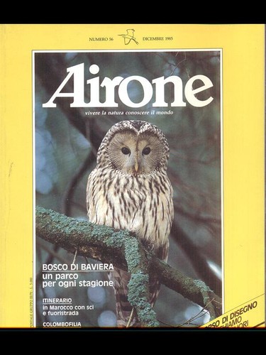 AIRONE