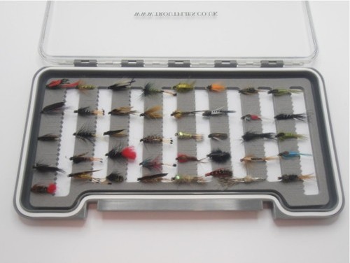 Mosche bagnate ninfee - bagnate,