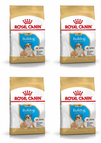 Bulldog cucciolo cibo secco - bulldog,