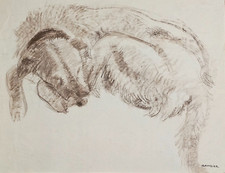 Maurice Gambier d'Hurigny 1912-2000 Disegno Carboncino Sanguigna Studio di Cane