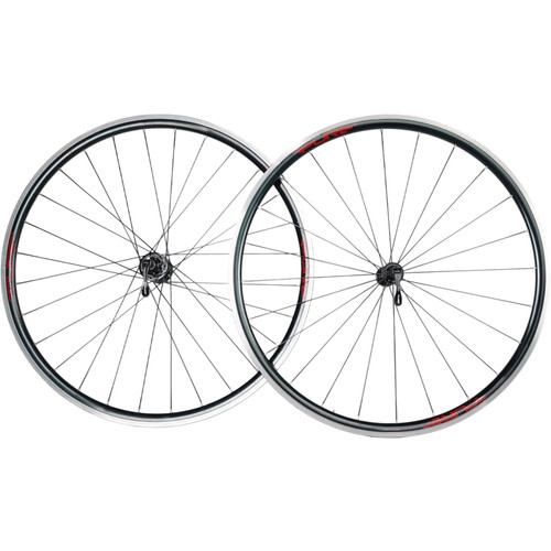 ruota bici 28