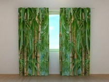 Tende Foresta di Bambù.