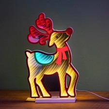 Renna luminosa led infinity 28