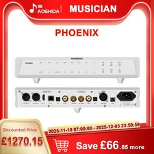 MUSICIAN PHOENIX High