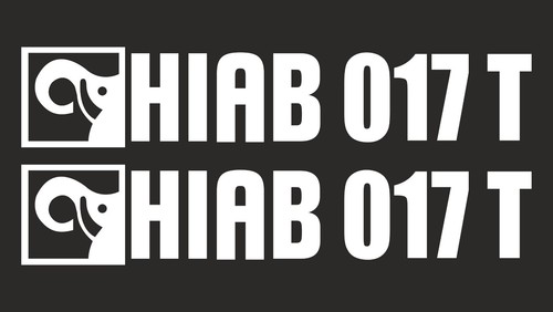 Gru idraulica hiab 071 - idraulica,