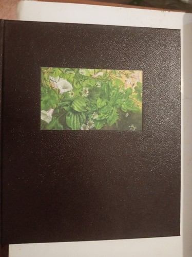 Agenda olivetti collezione - agenda,