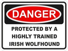 Irlandese Levriero Cane Danger