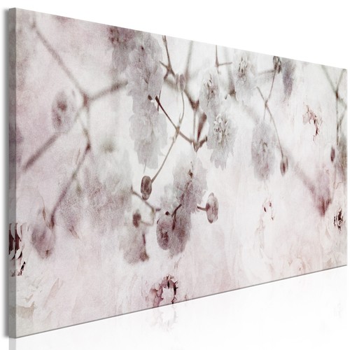 Fioritura fiori rosa quadro - rosa, su