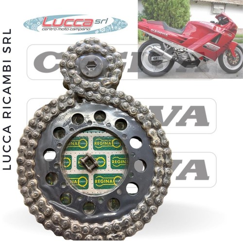 605319 kit trasmissione regina - 605319,