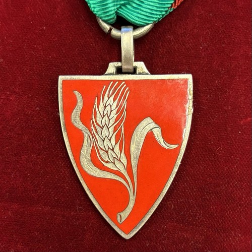 2460 medaglia in argento - medaglia,