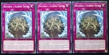 Playset 3 Carte : NATURIA L'