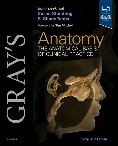 Gray anatomy - gray's,