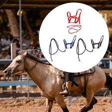 Cavezza per cavalli con