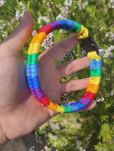 Collare cane paracord - cane,