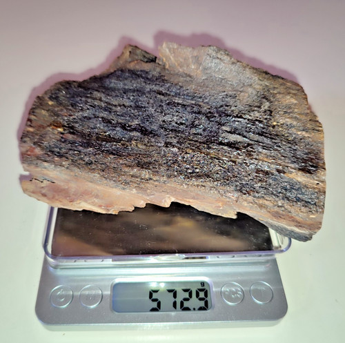 Legno fossile silicizzato - fossile,