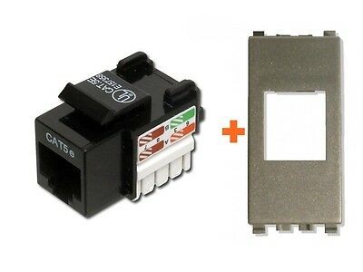 Link presa rete cat - presa,