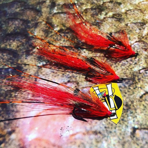 Mosche fly tutte le - fly, taglie