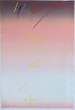 Valentino Vago litografia cm