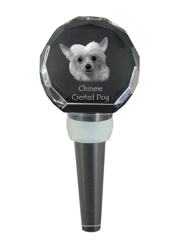 Cane cinese viso piatto - a,