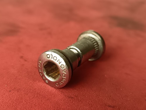 Vite stringisella campagnolo - vite,