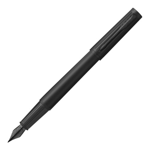 Penna stilografica parker - stilografica,