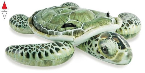 Gioco estivo intex - gioco,